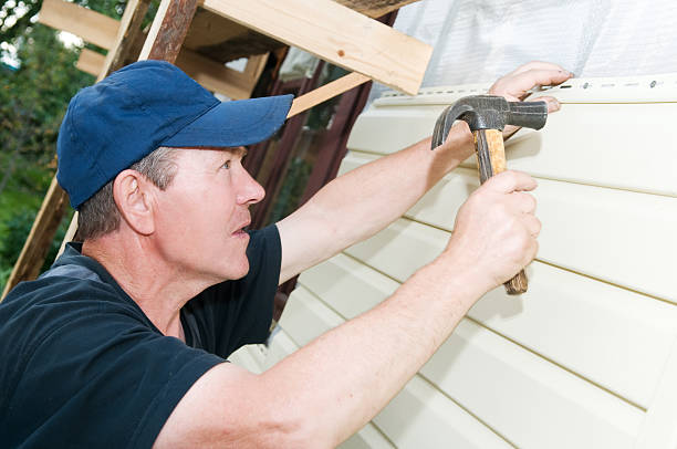 Best Fascia and Soffit Installation  in Lakewood, CO